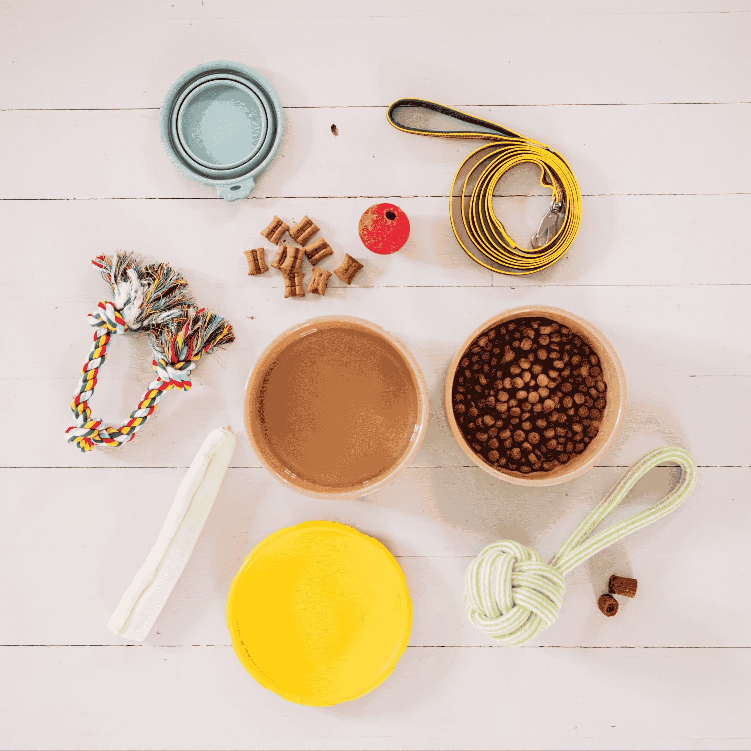 Bowls, Feeders and Accessories for Dogs