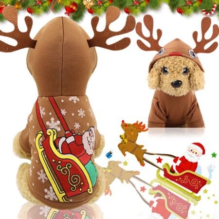 Halloween Pet Clothes for Cats and Dogs – Cute & Cozy Holiday Outfits