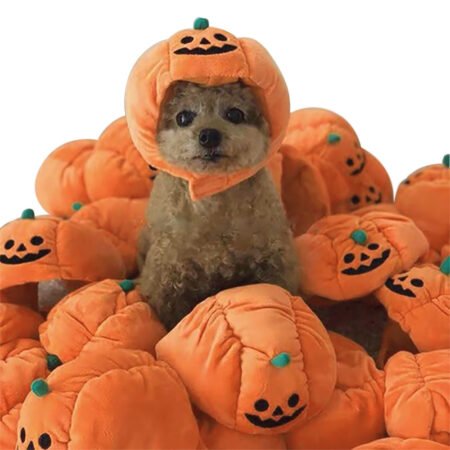 dog cat halloween costumes