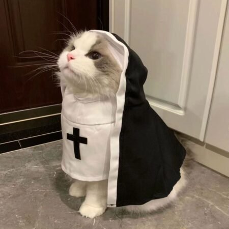Nun Cat Costume | Halloween Cat Outfit for Small & Medium Cats